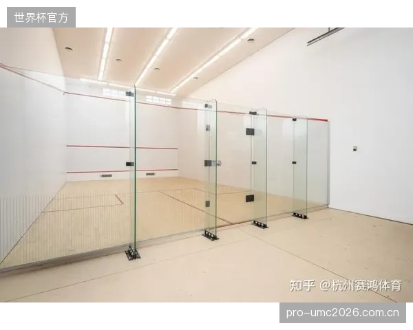《2026中国体育设施产业报告》预测，专业壁球场馆玻璃系统市场规模年复合增长率将达到22%，其中低反射产品是主要增长点