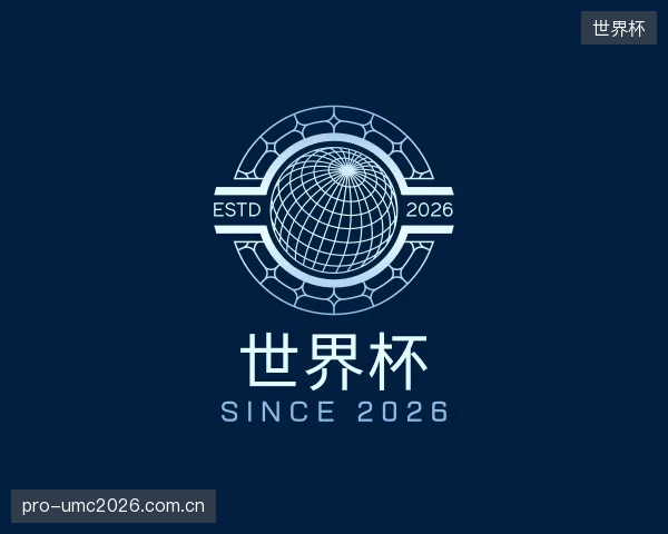 解读世界杯集团
